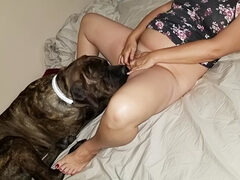 Fat slut squirting with dog licking her pussy