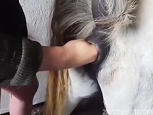 300px x 225px - Fingering this mare until she has the best orgasm of her life - Zoo Xvideos