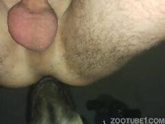 Gay man loves the dog’s penis going in hard