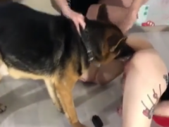 Gotica naughty fucking police dog