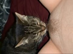 Naughty cat sucking the owner’s pussy