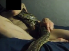 Perverted man fucking a huge snake