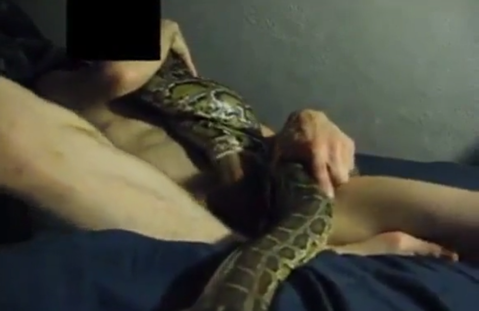 See porn video with zoophilia of snakes - Zoo Xvideos