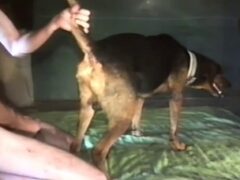 Thin man fucks his brother’s female dog ass