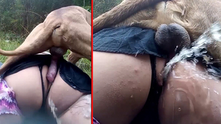 Fat sluts from Boston doing porn with dogs - Zoo Xvideos