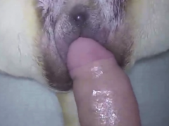 I made video fucking pet while the wife was in the shower