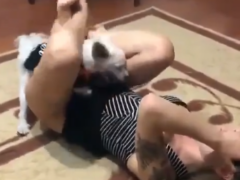 Little dog surprises his owner during zoophilia