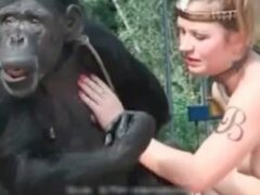 Monkey masturbates seeing naked woman