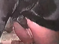 Porn video with chubby and strong horses fucking