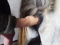 Putting his hand in the pussy of the female pony