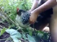 Ugly needy man having sex with chickens