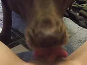 22 year old American makes live receiving canine oral
