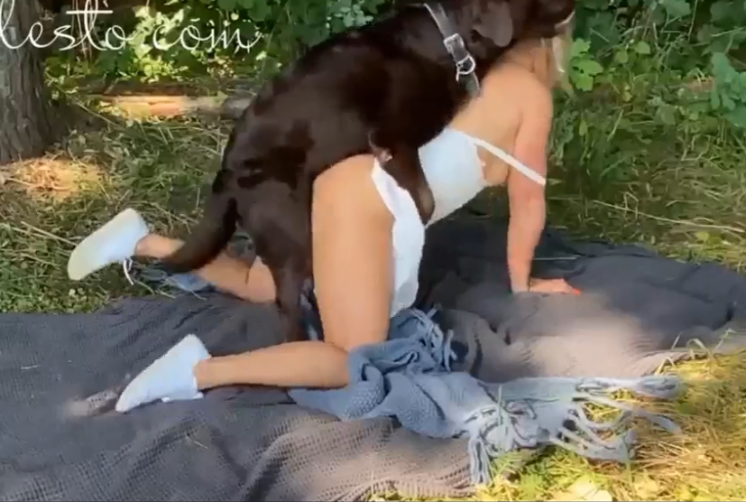 Xvidiosdog - Blonde having crazy sex with dog in the bush - Zoo Xvideos