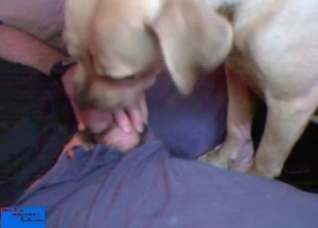Young Hippie naughty gets intense blowjob from the dog