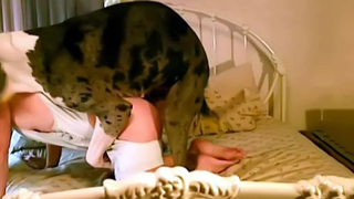 320px x 180px - Blonde wakes up sucking the huge dog's cock - Zoo Xvideos