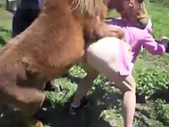 Donkey with thick penis hurting milf’s pussy