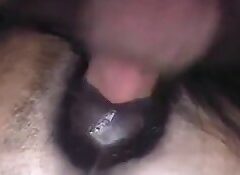 I filmed my cock entering the mare’s pussy