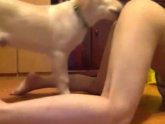 Puppy dog playing with teen’s pussy