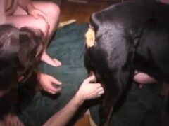 Watch amateur porn with gays doing menage with dog