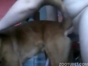 Xvideos Zoo Dog - My father was fucking my female dog - Zoo Xvideos