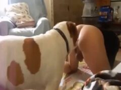Gay man from Arizona likes his dog’s penis