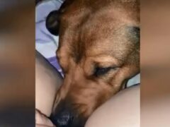 I woke up receiving oral sex from the naughty brown dog